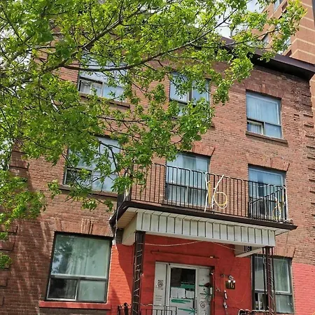 University Apartment